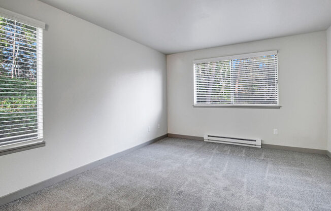 a bedroom with two windows and a carpeted floor