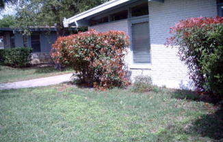327 SHARON DR