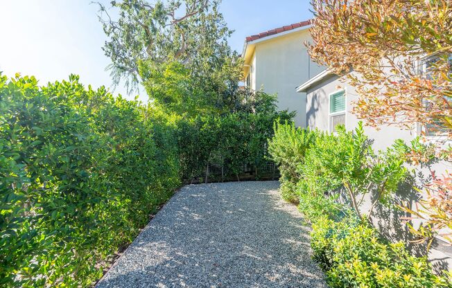 Cozy Home in Culver City!