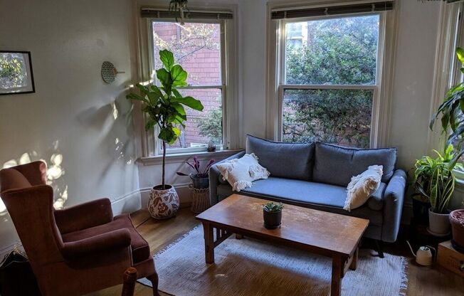 Big bedroom in cozy Single Family House walking distance to the Berkeley Campus. Gustavo Lopez AMSI