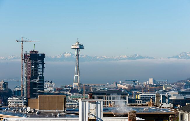 Studio, 1 bath, 453 sqft, $1,975, Unit 603