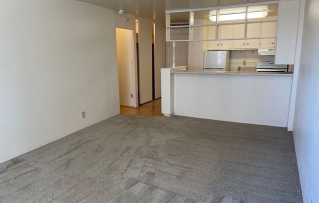 Studio, 1 bath, 360 sqft, $950, Unit 611