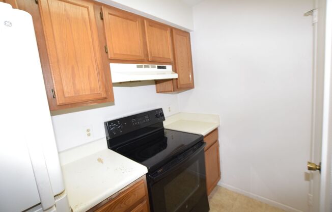 1 bed, 1 bath, $1,200