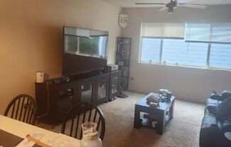 2 beds, 1 bath, $1,300