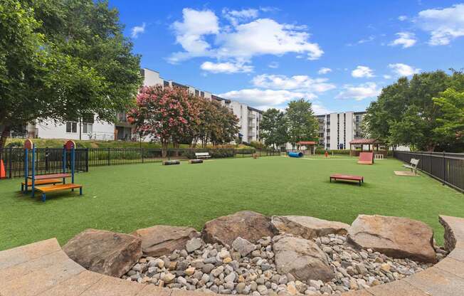 Dog park with agility course