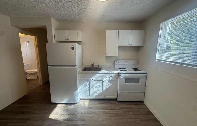 Studio, 1 bath, 450 sqft, $795, Unit Unit 1