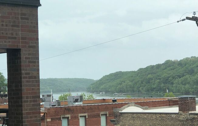 1 bed, 1 bath, 918 sqft, $2,495, Unit 206