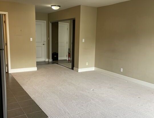 Studio, 1 bath, 377 sqft, $2,550, Unit 544