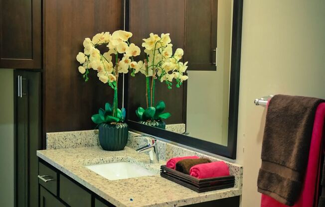 a bathroom with a sink and a mirror