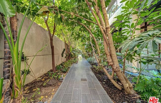 Studio, 1 bath, 460 sqft, $1,800, Unit 206