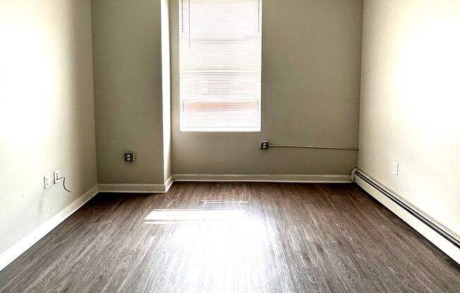 Studio, 1 bath, 255 sqft, $1,450, Unit 315