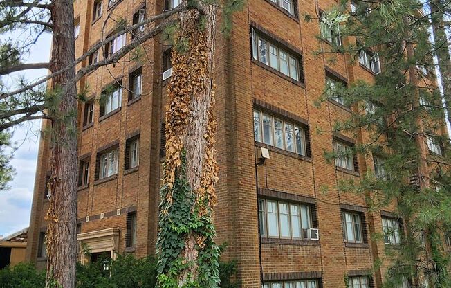1 bed, 1 bath, 500 sqft, $1,045, Unit 528