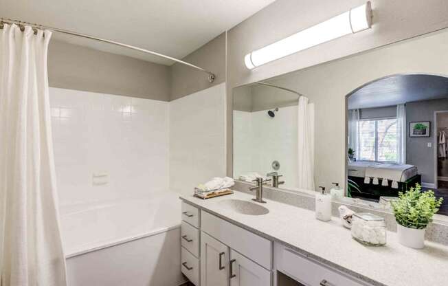 a bathroom with a large mirror and a sink