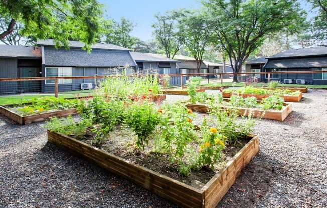 Maple Ridge Apartments Community Garden