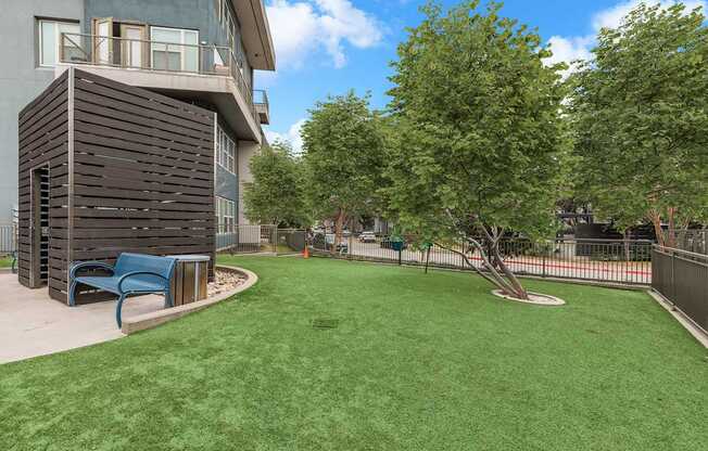 A small tree is in a grassy area in front of a building.