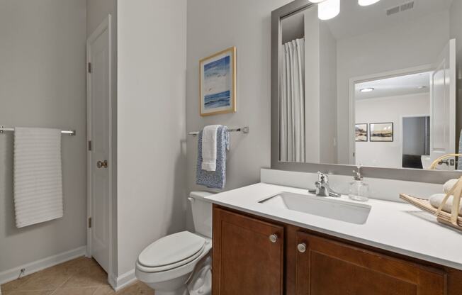 a bathroom with a sink and a toilet and a mirror