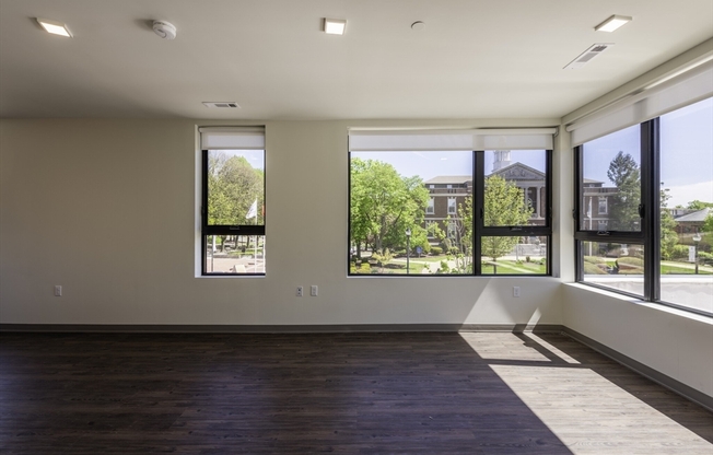 1 bed, 1 bath, 702 sqft, $3,100, Unit 301