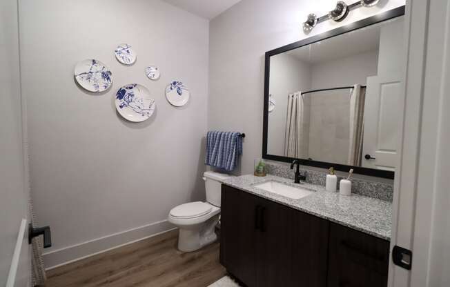 The Crest at South Point 1 Bed Model Apartment Bathroom Vanity located in McDonough, GA