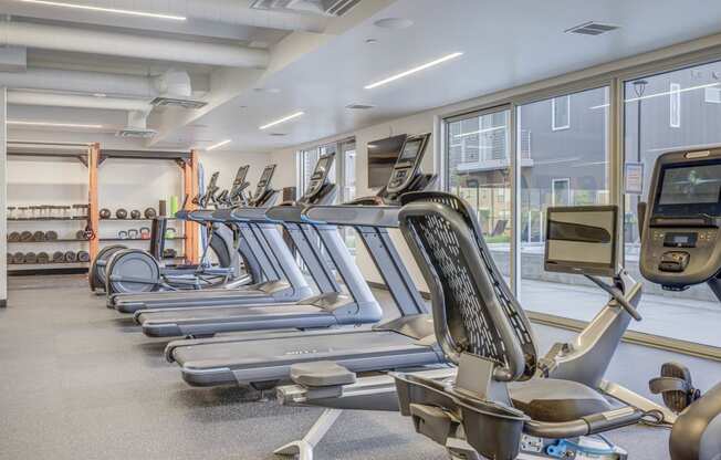 a row of cardio machines in a gym