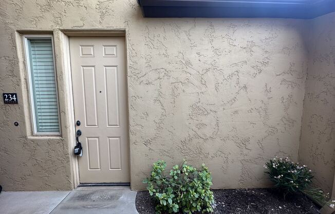 250 W. Queen Creek Rd # 234