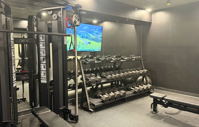 Fitness Center Free Weights