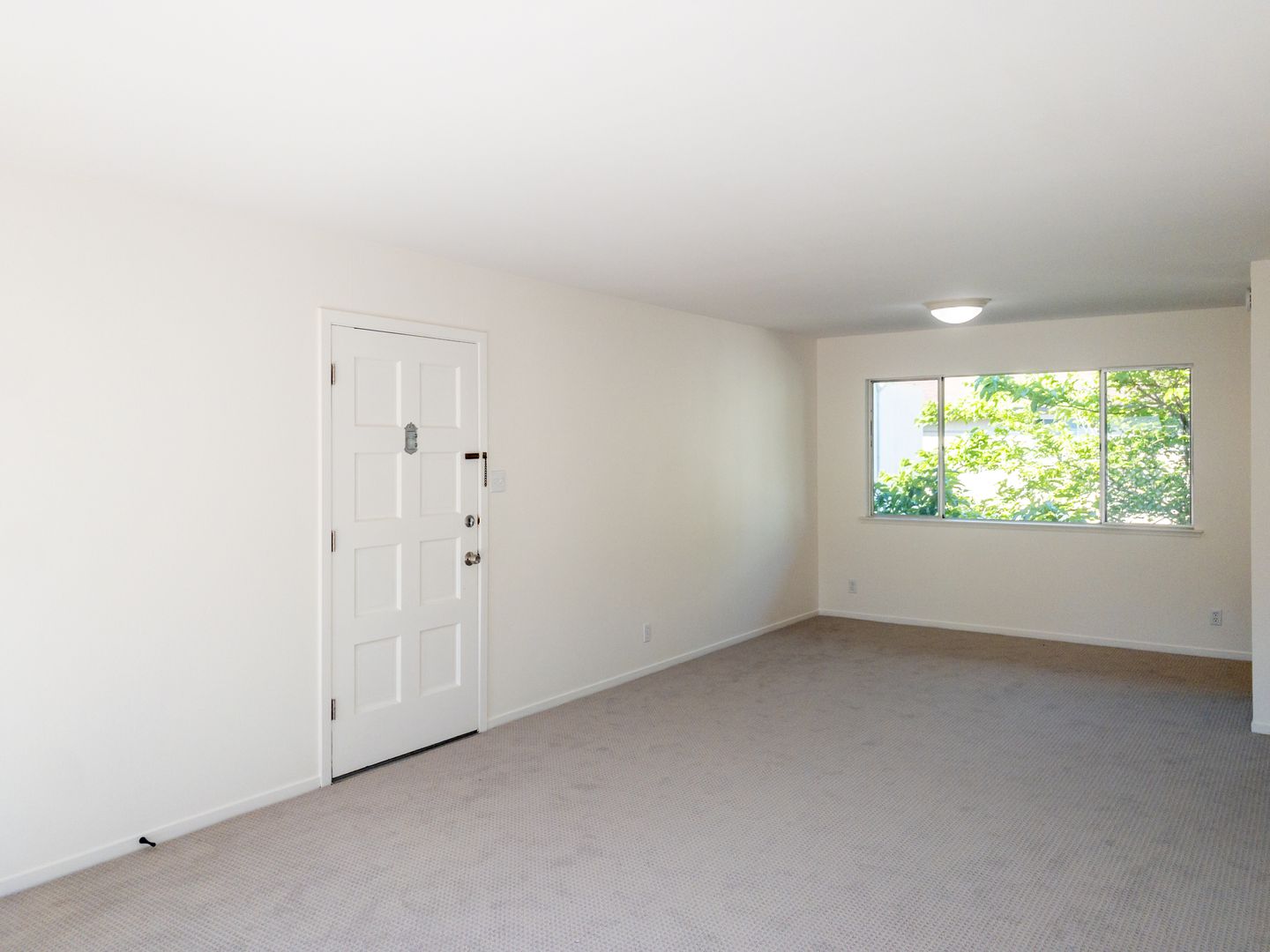 BRIGHT Remodeled Downtown 1BR/1BA Flat! Parking! -PROGRESSIVE