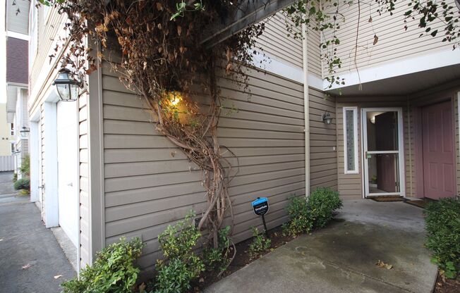 Urban Townhouse Overlooking Judkins Park