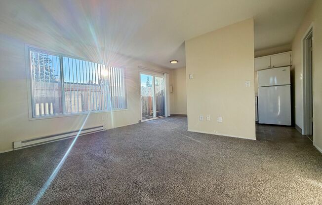 1 bed, 1 bath, 520 sqft, $1,299, Unit 20