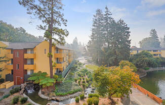 Americana Apartments in Mountain View, CA