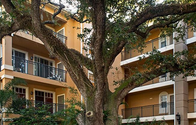 2 beds, 2 baths, $2,750, Unit # 1635