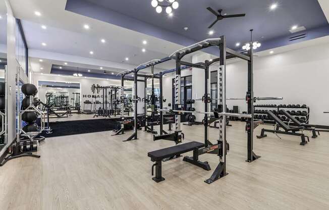 A gym with a variety of equipment including a squat rack, bench, and weights.