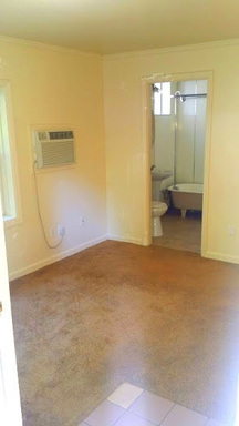 Studio, 1 bath, $1,300, Unit 2