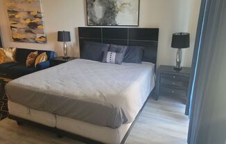 Studio, 1 bath, $1,600, Unit Unit #136