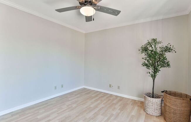 2 beds, 2 baths, $2,900, Unit Apt 104