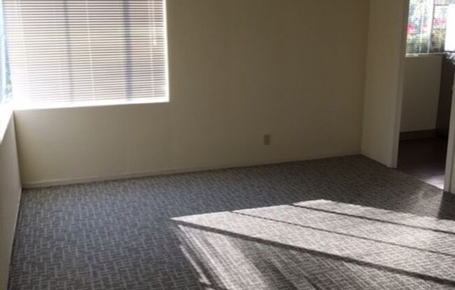 1 bed, 1 bath, 518 sqft, $1,299, Unit 301A