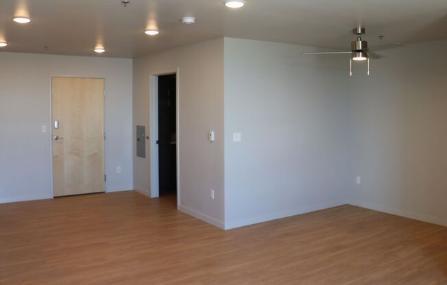 Studio, 1 bath, 468 sqft, $900, Unit 211