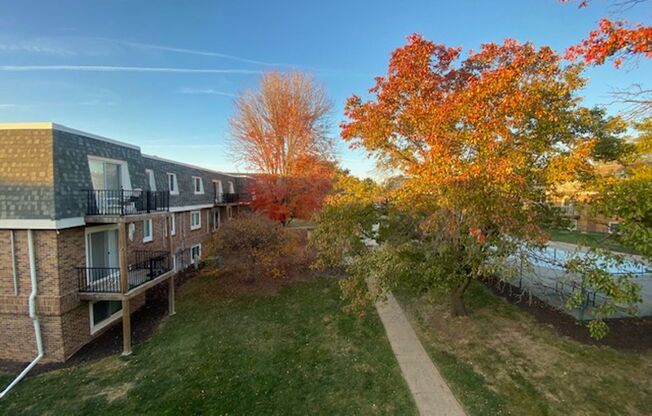 1 bed, 1 bath, 650 sqft, $880, Unit 1505-17