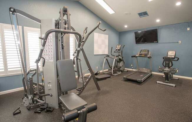 A gym with a variety of equipment including a treadmill, a stationary bike, a rowing machine, a leg press machine, a chest press machine, and a cable machine at Zinfandel Village Apartments, California, 95670