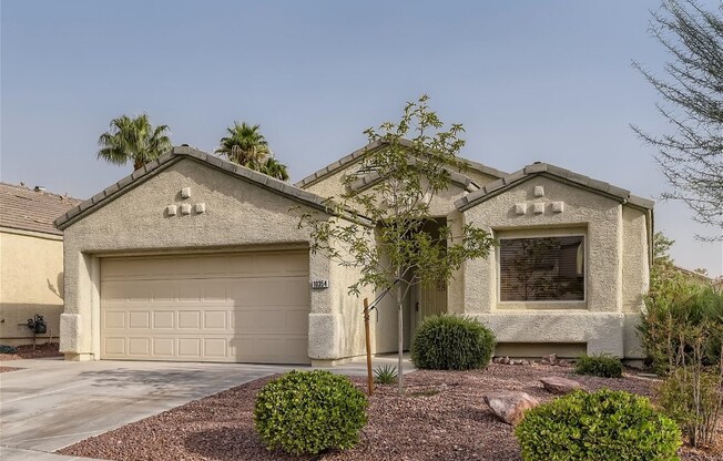 10354 SPIDER ROCK AVE