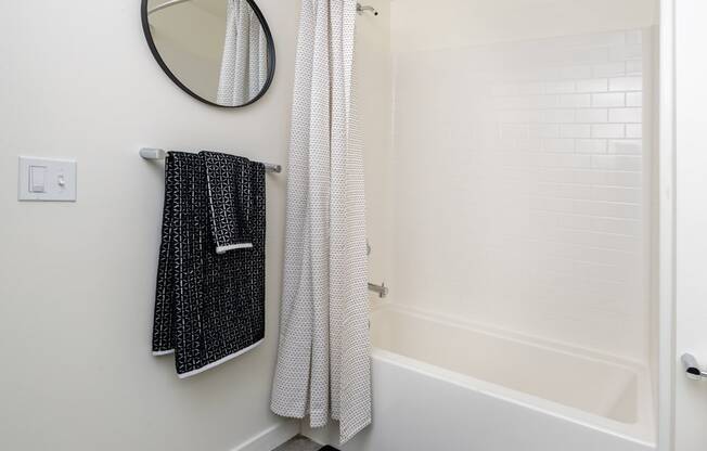 a bathroom with a shower and a tub and a mirror