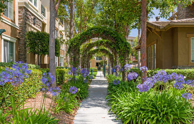 A pathway with a green archway and purple flowers on the sides.