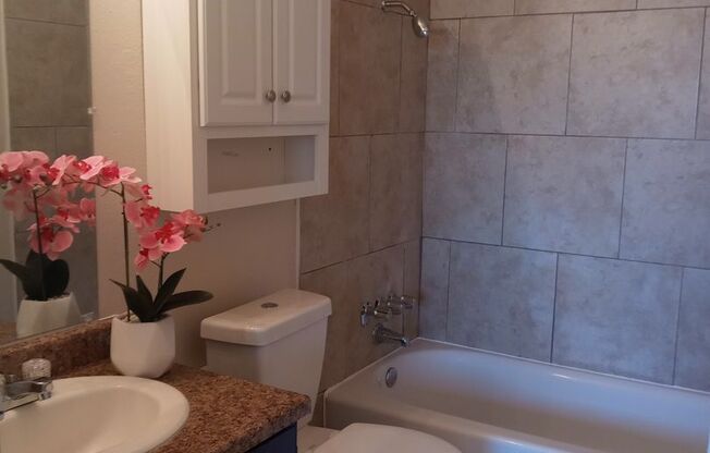 1 bed, 1 bath, 620 sqft, $1,300, Unit 3220 Q