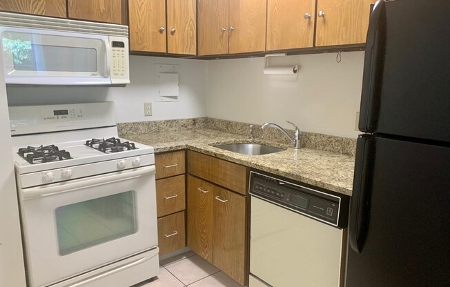 1 bed, 1 bath, 725 sqft, $3,100, Unit 213