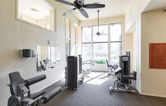 1 bed, 1 bath, 747 sqft, $1,165, Unit Unit 125