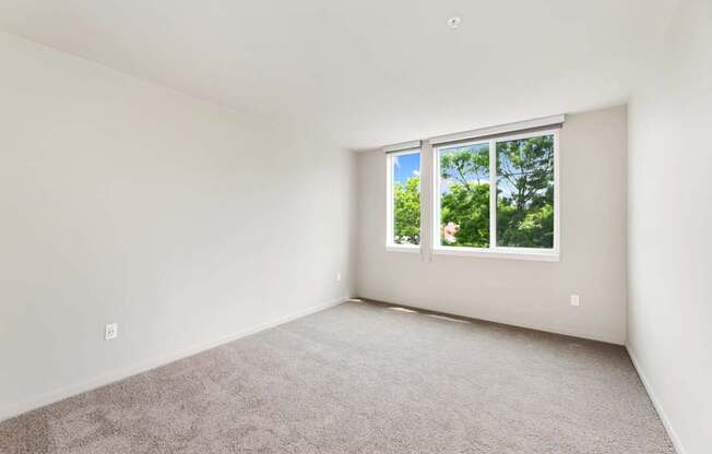 A room with a carpeted floor and a window.