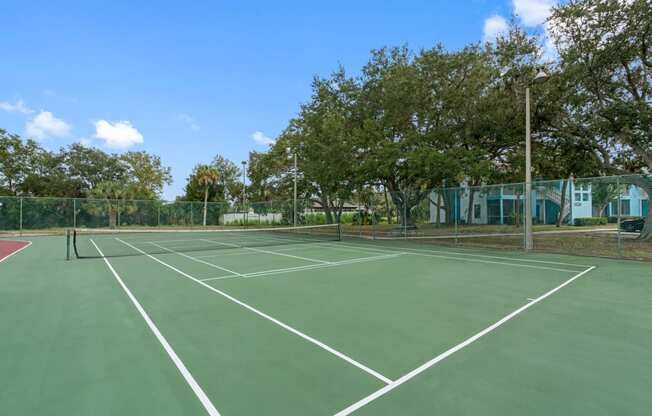 Tennis/Pickleball Court