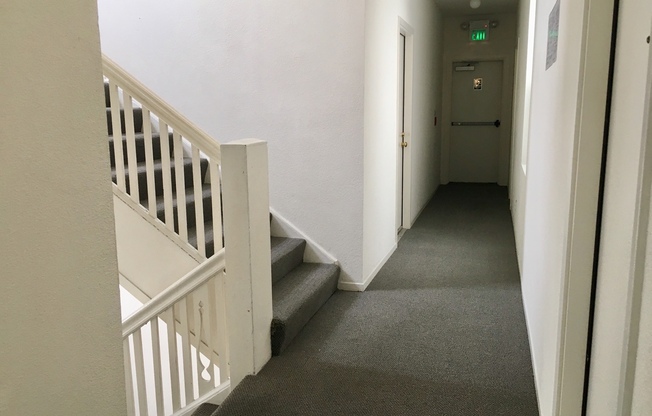 Sunny, Spacious Hayes Valley Studio. Central to everything! PROGRESSIVE