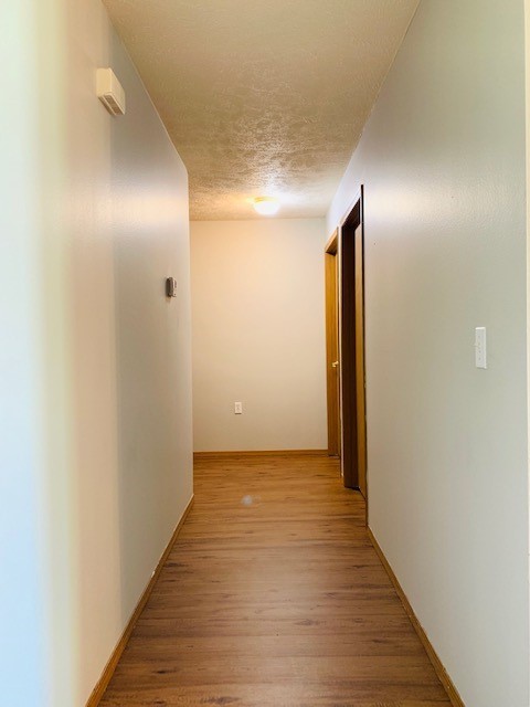 2 beds, 2 baths, 1,000 sqft, $800, Unit 19