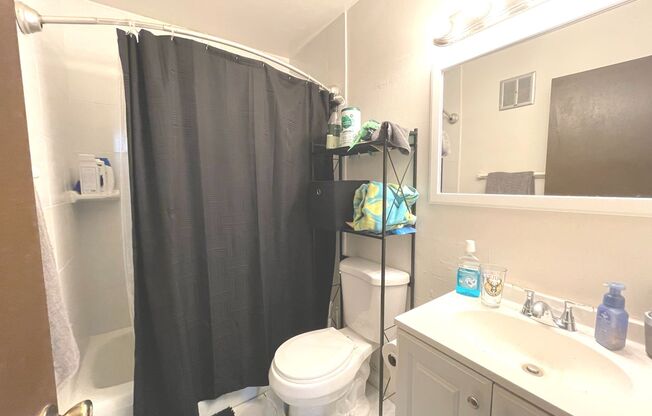 1 bed, 1 bath, $1,195, Unit 308