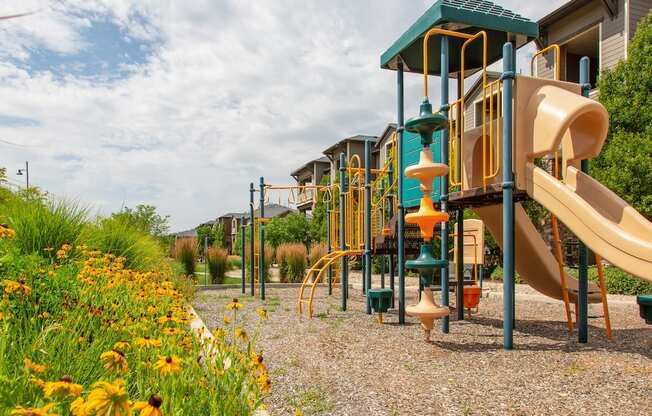 Playground Surrounded by Flowers at San Moritz